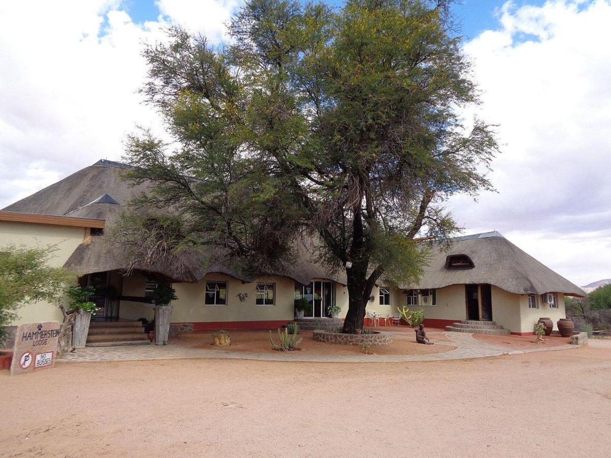 Hammerstein Lodge Dış mekan fotoğraf